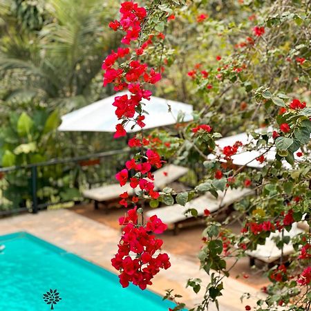 Mediterráneo Suites Puerto Iguazú Esterno foto