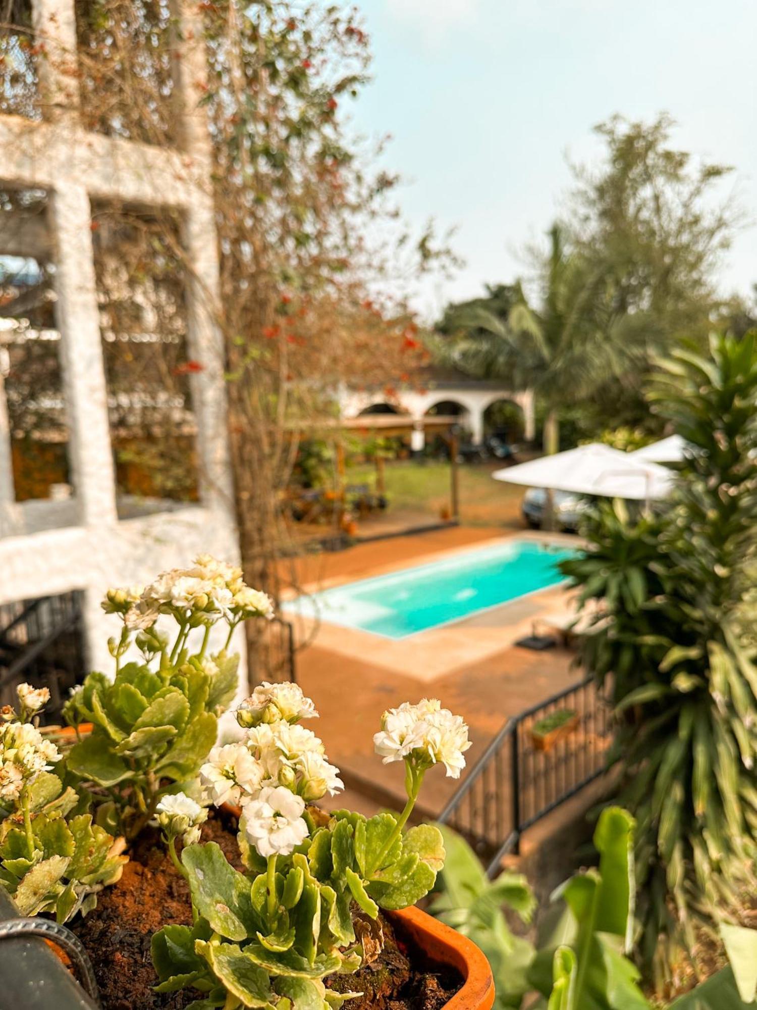 Mediterráneo Suites Puerto Iguazú Esterno foto